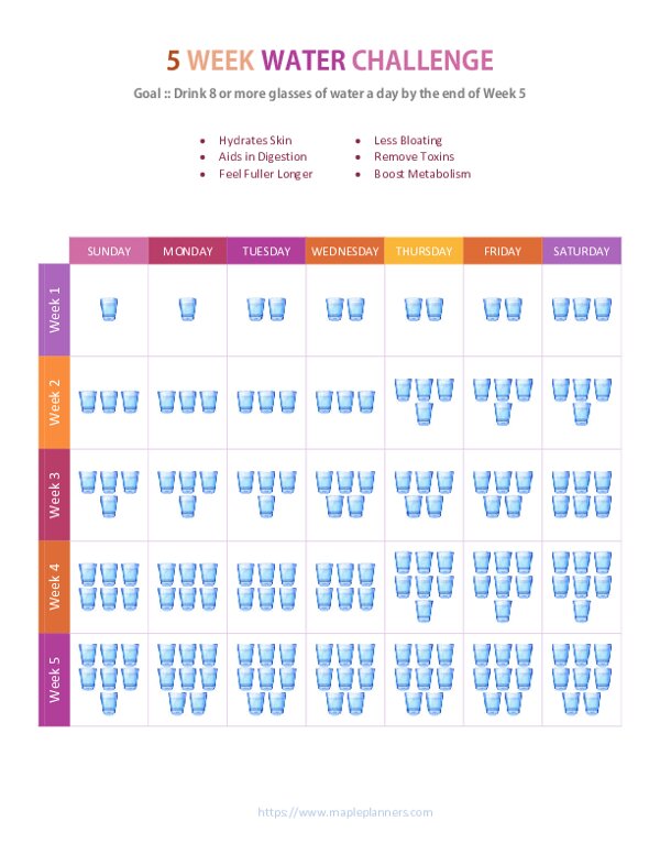 5 Week Water Challenge Planner