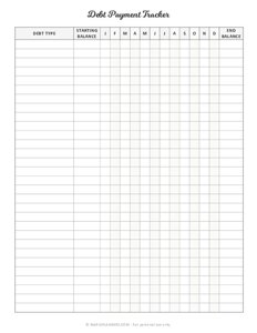 Debt Payment Tracker