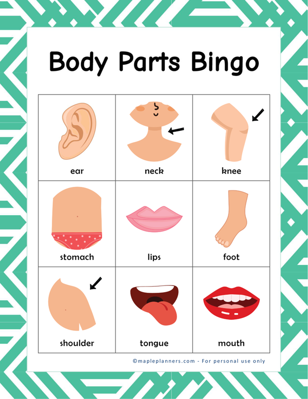 Body Parts Bingo