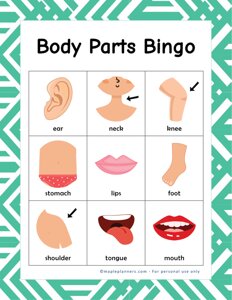 Body Parts Bingo