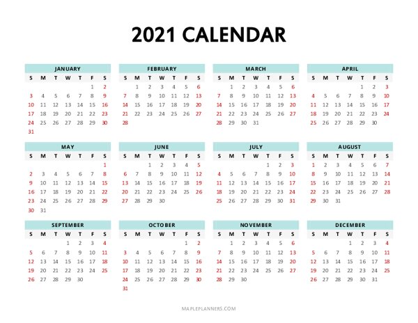 2021 Year at a Glance Template (Landscape)