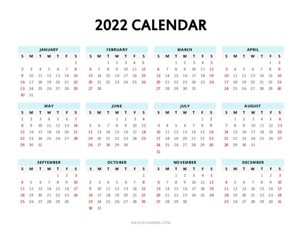 2022 Year at a Glance Template (Landscape)