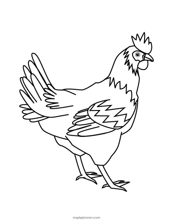 Chicken Coloring Page