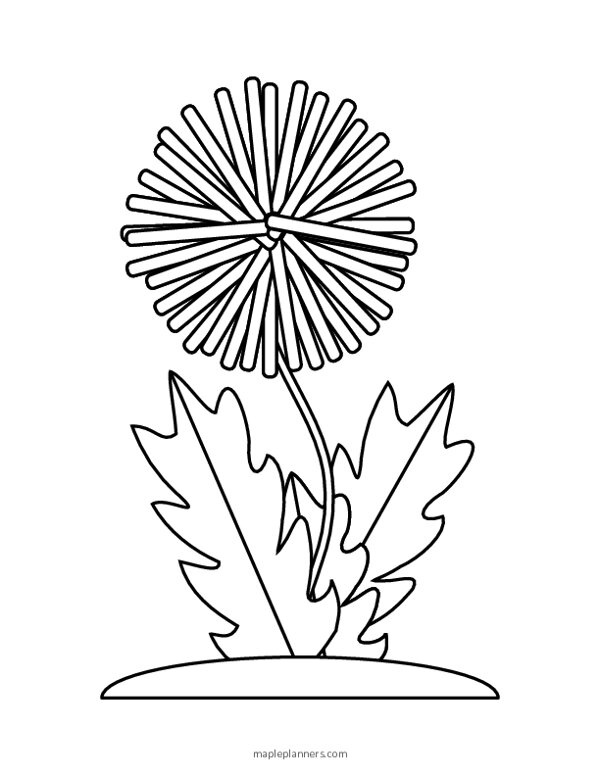 free-printable-dandelion-coloring-pages