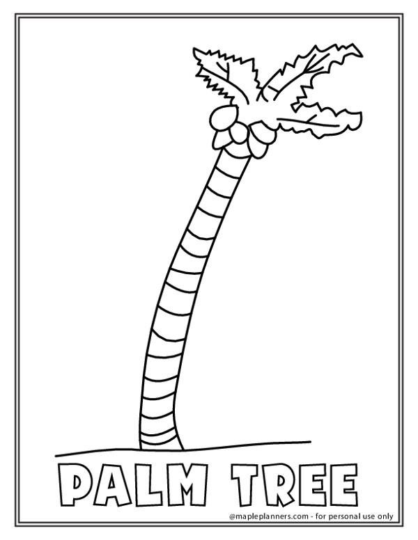 Palm Tree Coloring Page