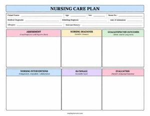 Nursing Care Plan