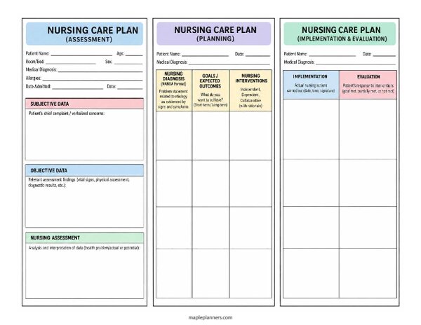3-Page Nursing Care Plan