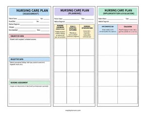 3-Page Nursing Care Plan