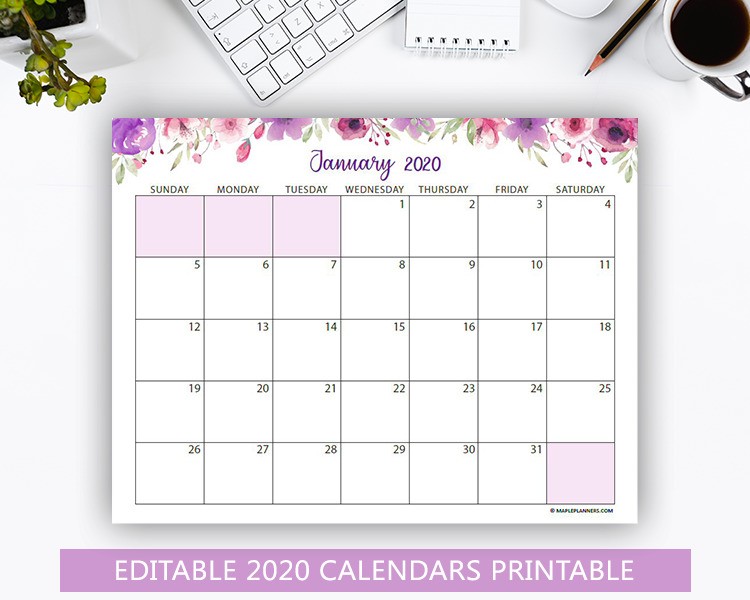 Editable 2020 Monthly Calendars Printable