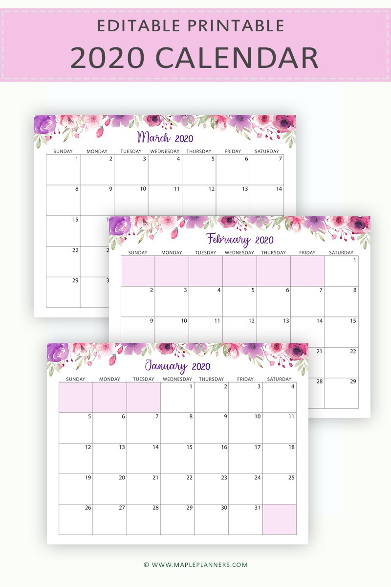 Editable Calendar 2020 Printable