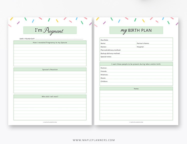 Free Printable My Pregnancy Journal