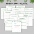 Free Printable My Pregnancy Journal